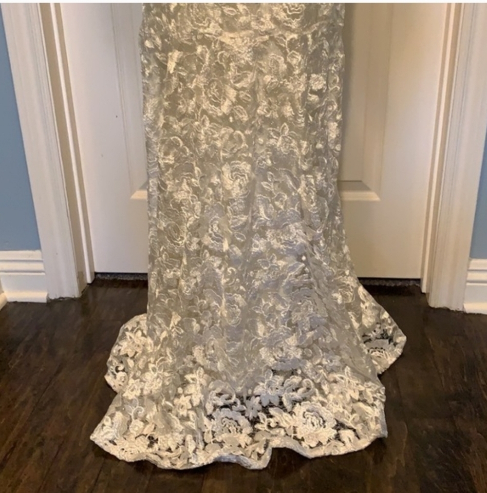Elegant Lace Gown in Ivory - Picture 9 of 11